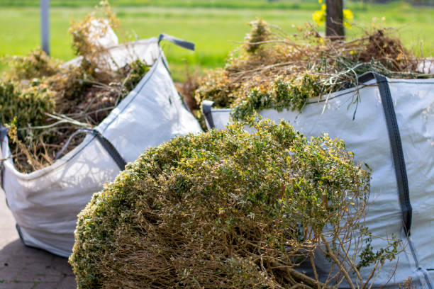 Debris Removal in Hood River, OR